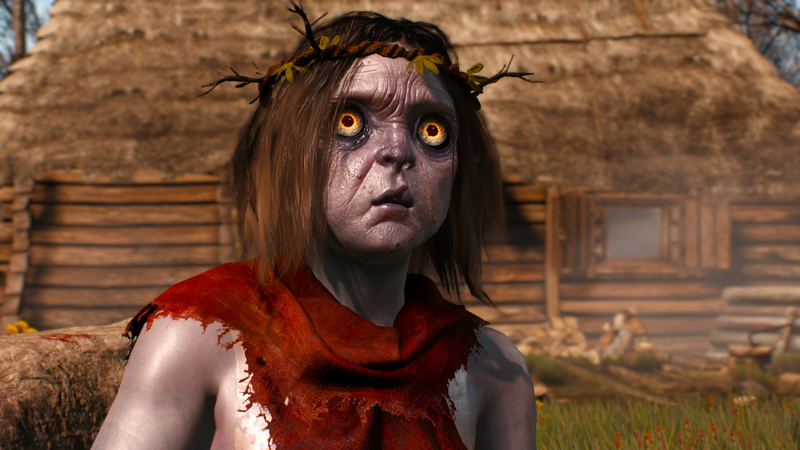 Illustration for article titled The Witcher 3, As Told Through Beautiful Screenshots